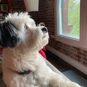 Meet your Posher, Jaymes